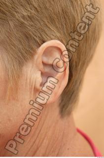Ear texture of street references 442 0001